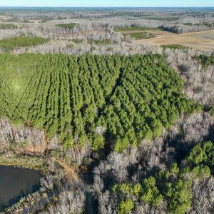 Photo #14 of SOLD property in 316 Cedar Landing Rd, Windsor, NC 88.0 acres