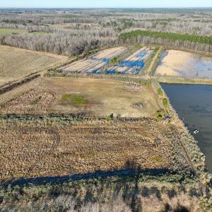 Photo #16 of SOLD property in 316 Cedar Landing Rd, Windsor, NC 88.0 acres