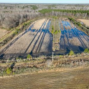Photo #17 of SOLD property in 316 Cedar Landing Rd, Windsor, NC 88.0 acres