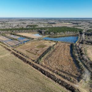 Photo #3 of SOLD property in 316 Cedar Landing Rd, Windsor, NC 88.0 acres