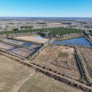 Photo #4 of SOLD property in 316 Cedar Landing Rd, Windsor, NC 88.0 acres