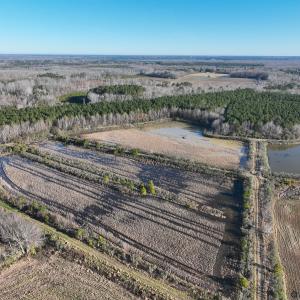 Photo #5 of SOLD property in 316 Cedar Landing Rd, Windsor, NC 88.0 acres