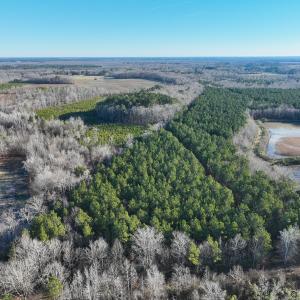 Photo #6 of SOLD property in 316 Cedar Landing Rd, Windsor, NC 88.0 acres