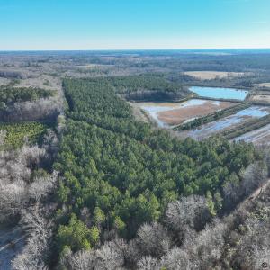 Photo #7 of SOLD property in 316 Cedar Landing Rd, Windsor, NC 88.0 acres