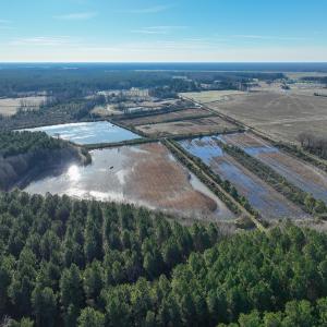Photo #9 of SOLD property in 316 Cedar Landing Rd, Windsor, NC 88.0 acres