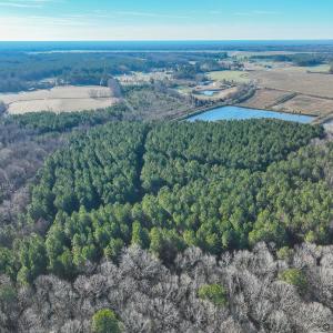 Photo #10 of SOLD property in 316 Cedar Landing Rd, Windsor, NC 88.0 acres
