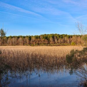 Photo #22 of SOLD property in 316 Cedar Landing Rd, Windsor, NC 88.0 acres