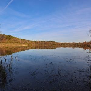 Photo #23 of SOLD property in 316 Cedar Landing Rd, Windsor, NC 88.0 acres