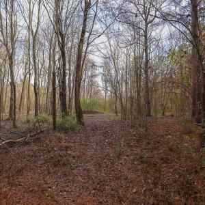 Photo #29 of SOLD property in 316 Cedar Landing Rd, Windsor, NC 88.0 acres