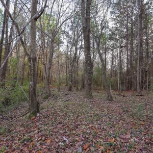 Photo #30 of SOLD property in 316 Cedar Landing Rd, Windsor, NC 88.0 acres
