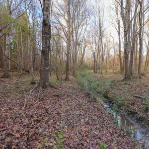 Photo #31 of SOLD property in 316 Cedar Landing Rd, Windsor, NC 88.0 acres