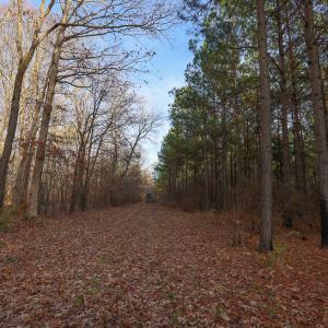 Photo #32 of SOLD property in 316 Cedar Landing Rd, Windsor, NC 88.0 acres