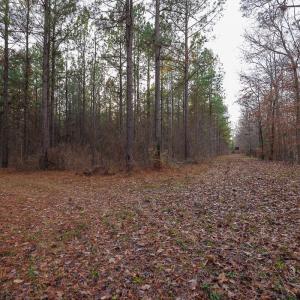 Photo #33 of SOLD property in 316 Cedar Landing Rd, Windsor, NC 88.0 acres