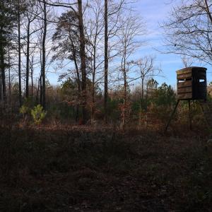 Photo #36 of SOLD property in 316 Cedar Landing Rd, Windsor, NC 88.0 acres