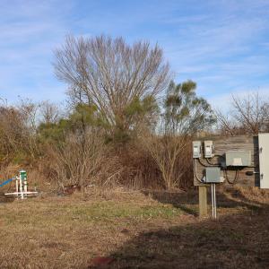Photo #39 of SOLD property in 316 Cedar Landing Rd, Windsor, NC 88.0 acres
