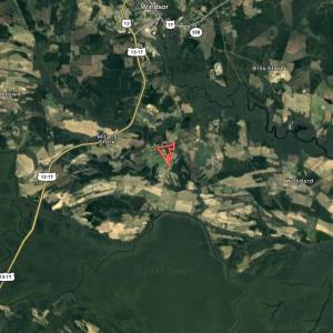 Photo #41 of SOLD property in 316 Cedar Landing Rd, Windsor, NC 88.0 acres