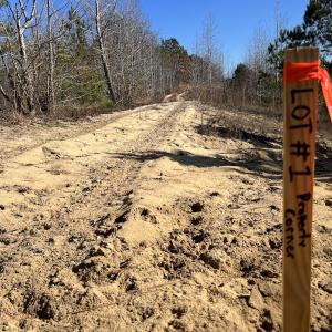 Photo #18 of SOLD property in 01 Josey Williams Road, Erwin, NC 10.9 acres