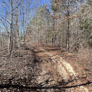 Photo #19 of SOLD property in 01 Josey Williams Road, Erwin, NC 10.9 acres