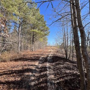 Photo #20 of SOLD property in 01 Josey Williams Road, Erwin, NC 10.9 acres