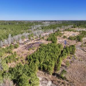 Photo #2 of SOLD property in 01 Josey Williams Road, Erwin, NC 10.9 acres