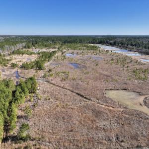 Photo #3 of SOLD property in 01 Josey Williams Road, Erwin, NC 10.9 acres