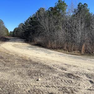 Photo #23 of SOLD property in 01 Josey Williams Road, Erwin, NC 10.9 acres