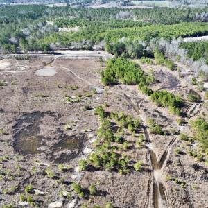 Photo #12 of SOLD property in 02 Josey Williams Road, Erwin, NC 11.0 acres