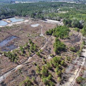 Photo #13 of SOLD property in 02 Josey Williams Road, Erwin, NC 11.0 acres