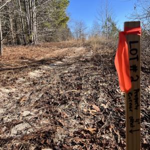Photo #18 of SOLD property in 02 Josey Williams Road, Erwin, NC 11.0 acres