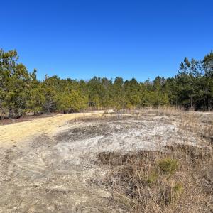 Photo #20 of SOLD property in 02 Josey Williams Road, Erwin, NC 11.0 acres