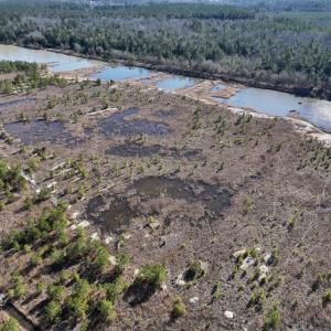 Photo #3 of SOLD property in 02 Josey Williams Road, Erwin, NC 11.0 acres