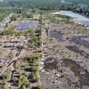 Photo #4 of SOLD property in 02 Josey Williams Road, Erwin, NC 11.0 acres