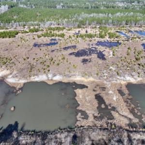 Photo #7 of SOLD property in 02 Josey Williams Road, Erwin, NC 11.0 acres
