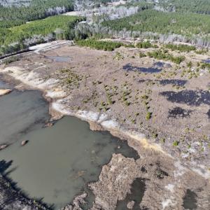 Photo #8 of SOLD property in 02 Josey Williams Road, Erwin, NC 11.0 acres
