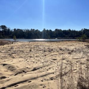 Photo #23 of SOLD property in 02 Josey Williams Road, Erwin, NC 11.0 acres