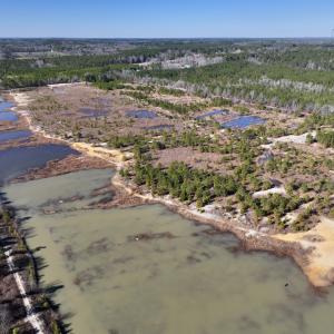 Photo #9 of SOLD property in 04 Josey Williams Road, Erwin, NC 11.0 acres