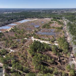Photo #12 of SOLD property in 04 Josey Williams Road, Erwin, NC 11.0 acres