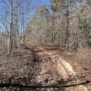 Photo #14 of SOLD property in 04 Josey Williams Road, Erwin, NC 11.0 acres