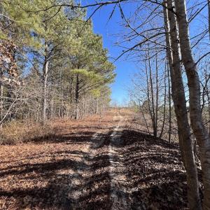 Photo #15 of SOLD property in 04 Josey Williams Road, Erwin, NC 11.0 acres