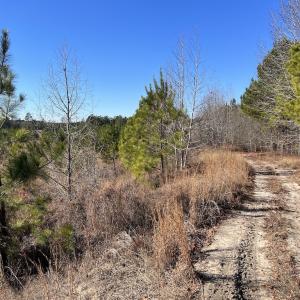 Photo #16 of SOLD property in 04 Josey Williams Road, Erwin, NC 11.0 acres