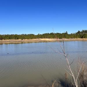 Photo #17 of SOLD property in 04 Josey Williams Road, Erwin, NC 11.0 acres