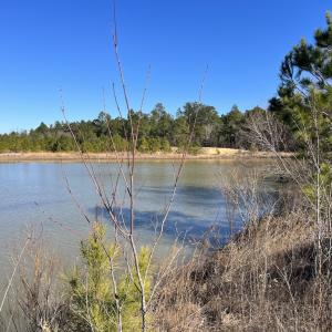 Photo #18 of SOLD property in 04 Josey Williams Road, Erwin, NC 11.0 acres
