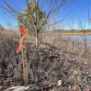 Photo #20 of SOLD property in 04 Josey Williams Road, Erwin, NC 11.0 acres