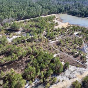 Photo #2 of SOLD property in 04 Josey Williams Road, Erwin, NC 11.0 acres