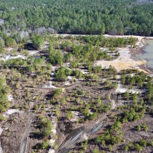 Photo #4 of SOLD property in 04 Josey Williams Road, Erwin, NC 11.0 acres