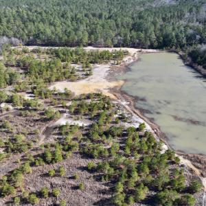 Photo #5 of SOLD property in 04 Josey Williams Road, Erwin, NC 11.0 acres