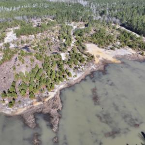 Photo #7 of SOLD property in 04 Josey Williams Road, Erwin, NC 11.0 acres
