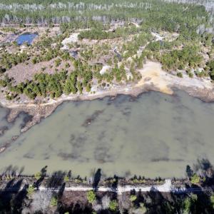 Photo #8 of SOLD property in 04 Josey Williams Road, Erwin, NC 11.0 acres