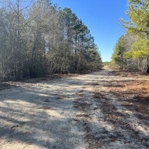 Photo #21 of SOLD property in 04 Josey Williams Road, Erwin, NC 11.0 acres