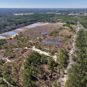 Photo #14 of SOLD property in 05 Josey Williams Road, Erwin, NC 13.4 acres